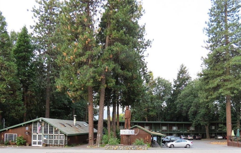 Shasta Inn Маунт-Шаста Екстер'єр фото